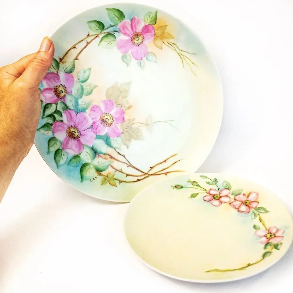 Antique Thomas Sevres Bavaria Hand Painted Signed Pink Dogwood Floral Plate